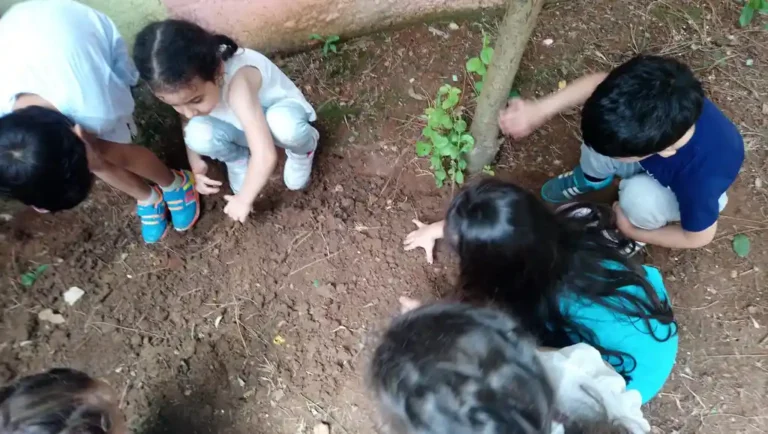 Duyusal Bütünleme Çalışmaları